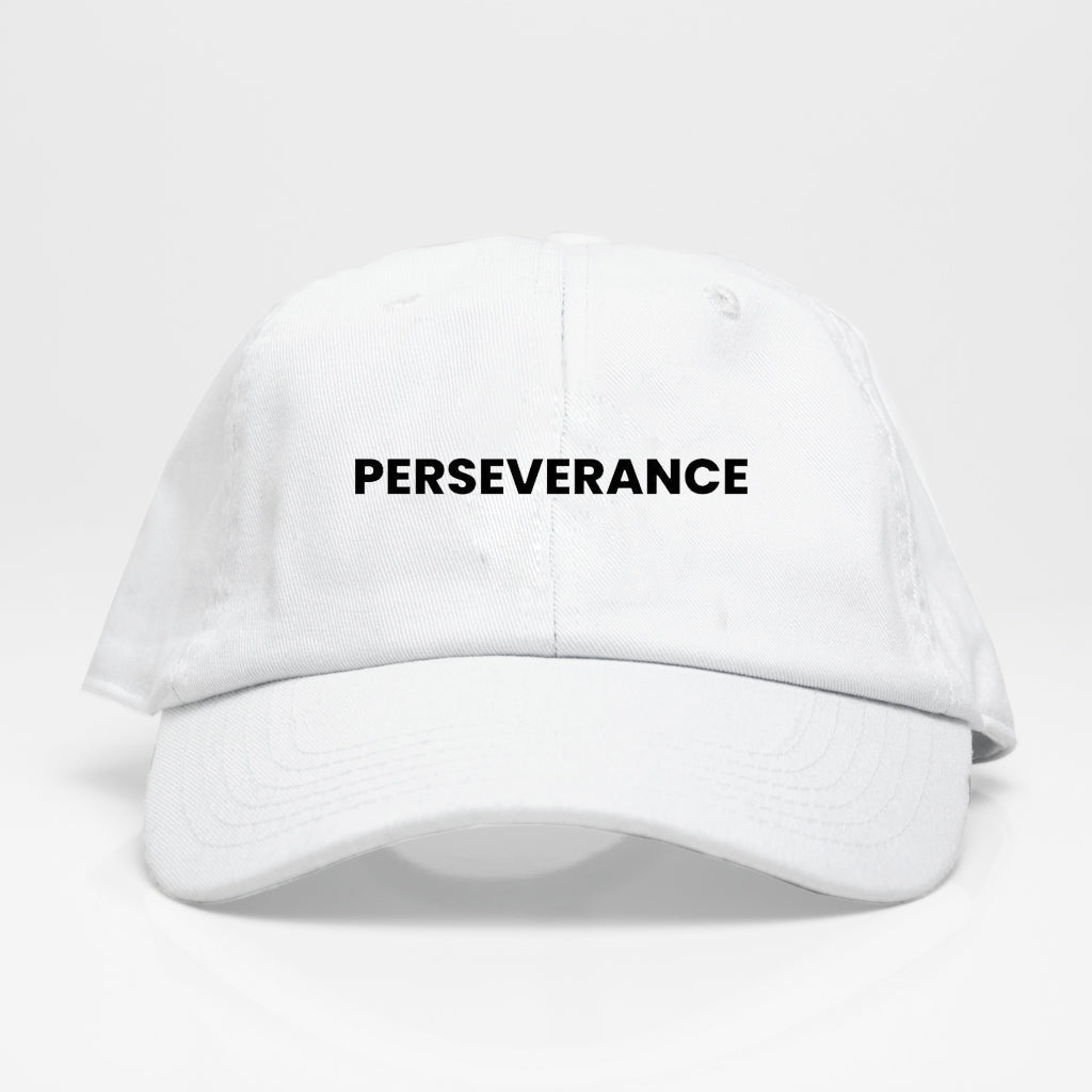 Perseverance