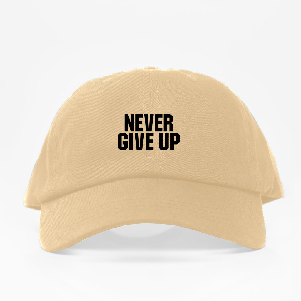 Never Give Up